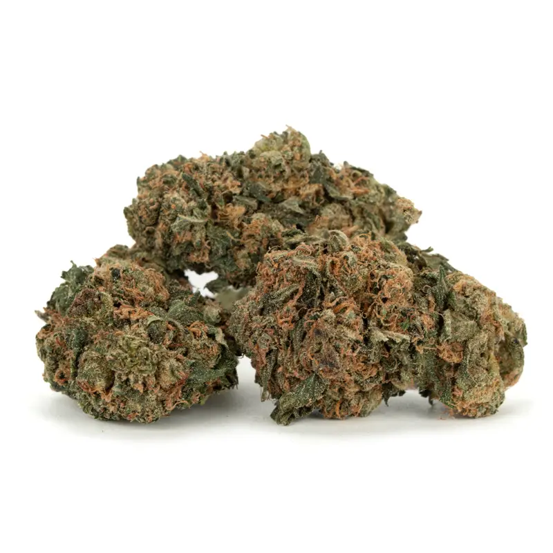 Skunk Dawg - Image 3