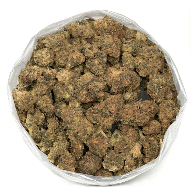 Mango Haze strain - Image 3