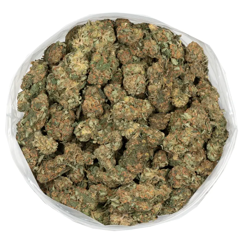 Skunk Dawg - Image 2